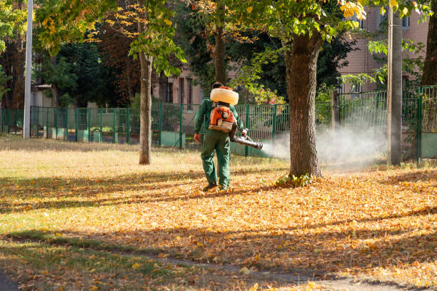 Wildlife Control Services in Woonsocket, RI